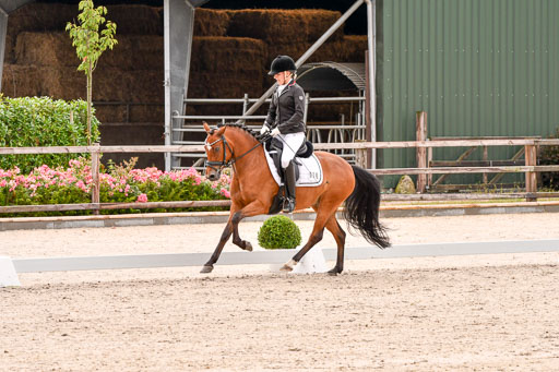 Klein Offenseth  - Dressur 1.8.2021 | 01082021 Dressurpferde A_30 