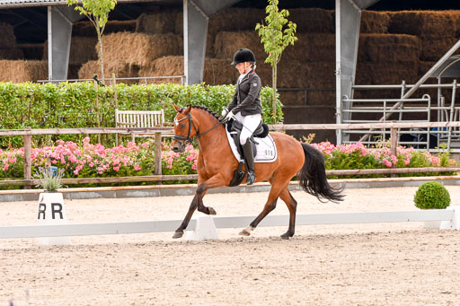 Klein Offenseth  - Dressur 1.8.2021 | 01082021 Dressurpferde A_31 