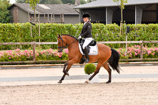 Klein Offenseth  - Dressur 1.8.2021 | 01082021 Dressurpferde A_33 