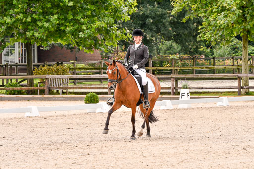 Klein Offenseth  - Dressur 1.8.2021 | 01082021 Dressurpferde A_34 
