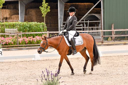 Klein Offenseth  - Dressur 1.8.2021 | 01082021 Dressurpferde A_37 