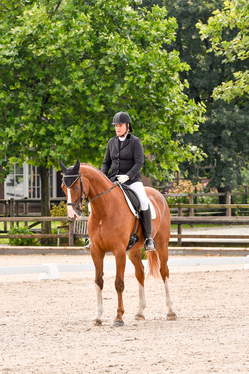 Klein Offenseth  - Dressur 1.8.2021 | 01082021 Dressurpferde A_39 