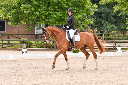 Klein Offenseth  - Dressur 1.8.2021 | 01082021 Dressurpferde A_40 