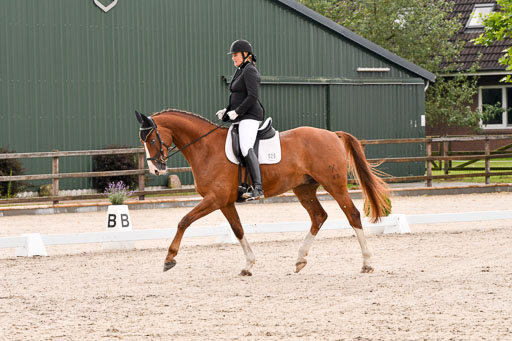 Klein Offenseth  - Dressur 1.8.2021 | 01082021 Dressurpferde A_41 