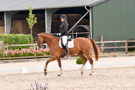 Klein Offenseth  - Dressur 1.8.2021 | 01082021 Dressurpferde A_42 