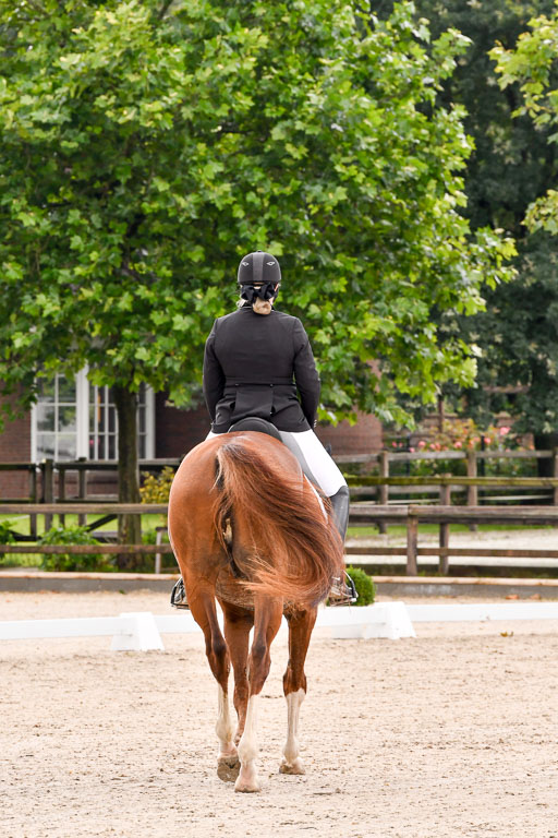 Klein Offenseth  - Dressur 1.8.2021 | 01082021 Dressurpferde A_43 