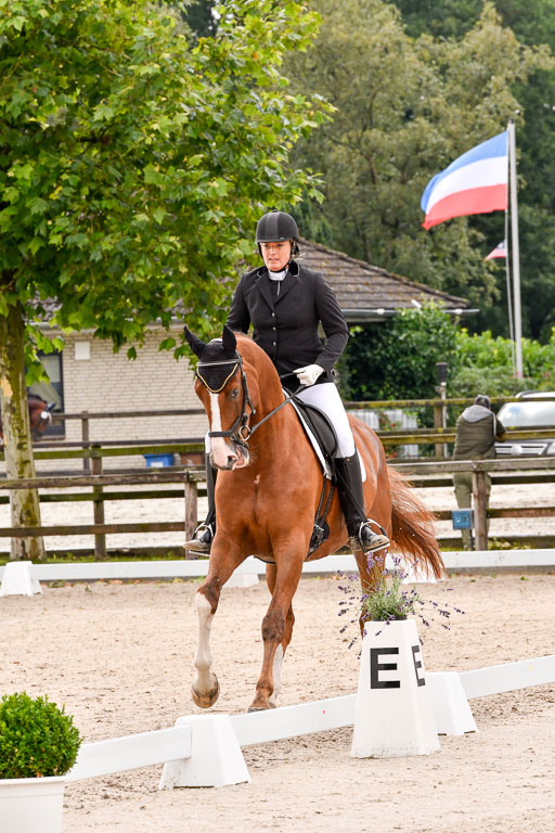 Klein Offenseth  - Dressur 1.8.2021 | 01082021 Dressurpferde A_44 