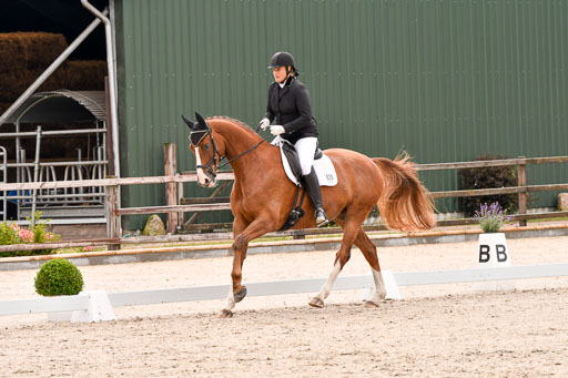 Klein Offenseth  - Dressur 1.8.2021 | 01082021 Dressurpferde A_46 