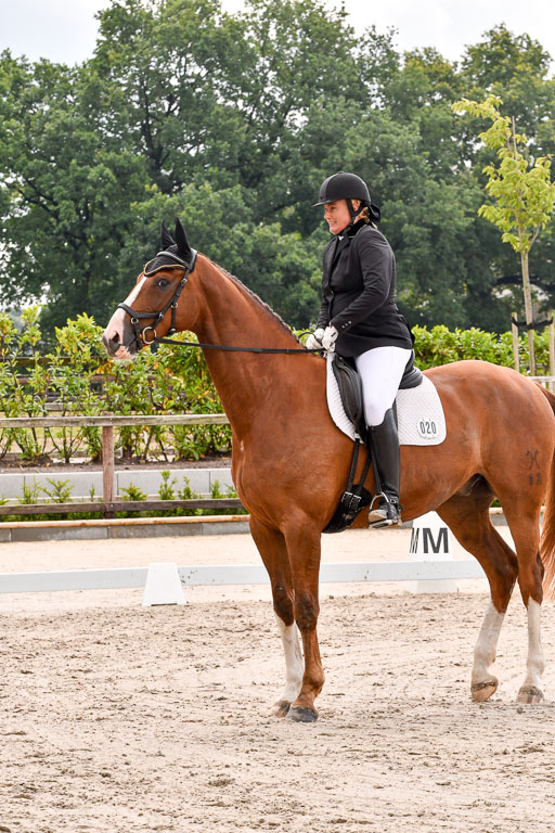 Klein Offenseth  - Dressur 1.8.2021 | 01082021 Dressurpferde A_48 