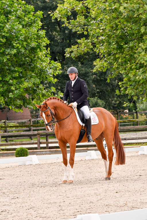 Klein Offenseth  - Dressur 1.8.2021 | 01082021 Dressurpferde A_50 