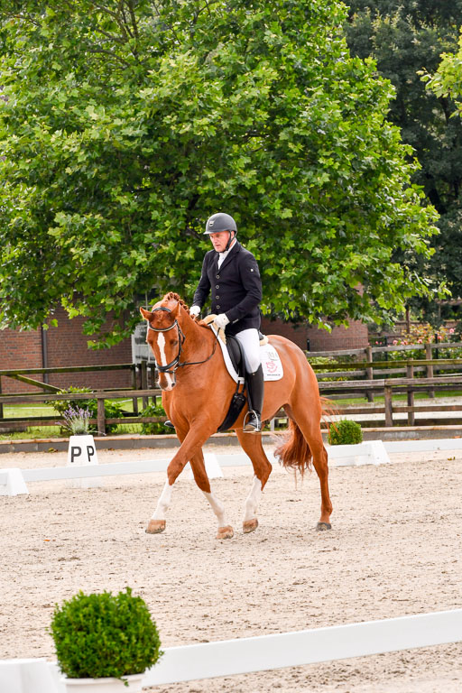 Klein Offenseth  - Dressur 1.8.2021 | 01082021 Dressurpferde A_51 