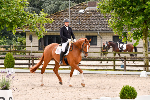 Klein Offenseth  - Dressur 1.8.2021 | 01082021 Dressurpferde A_52 