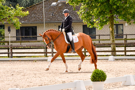 Klein Offenseth  - Dressur 1.8.2021 | 01082021 Dressurpferde A_53 