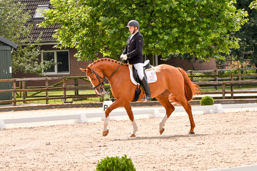 Klein Offenseth  - Dressur 1.8.2021 | 01082021 Dressurpferde A_54 