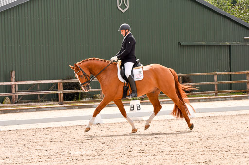 Klein Offenseth  - Dressur 1.8.2021 | 01082021 Dressurpferde A_55 