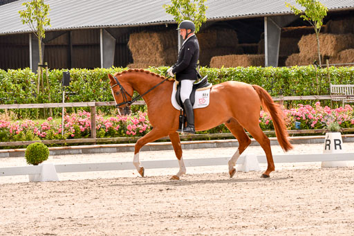 Klein Offenseth  - Dressur 1.8.2021 | 01082021 Dressurpferde A_56 