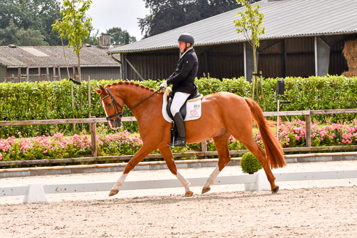 Klein Offenseth  - Dressur 1.8.2021 | 01082021 Dressurpferde A_57 