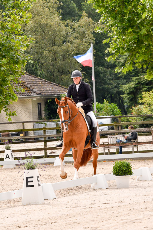 Klein Offenseth  - Dressur 1.8.2021 | 01082021 Dressurpferde A_58 