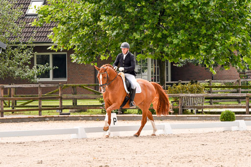 Klein Offenseth  - Dressur 1.8.2021 | 01082021 Dressurpferde A_59 