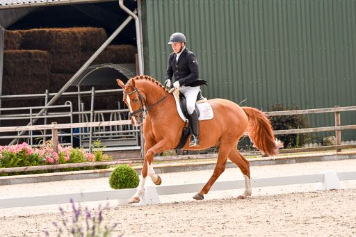 Klein Offenseth  - Dressur 1.8.2021 | 01082021 Dressurpferde A_60 