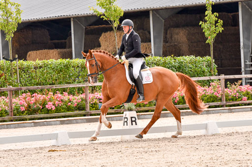 Klein Offenseth  - Dressur 1.8.2021 | 01082021 Dressurpferde A_62 