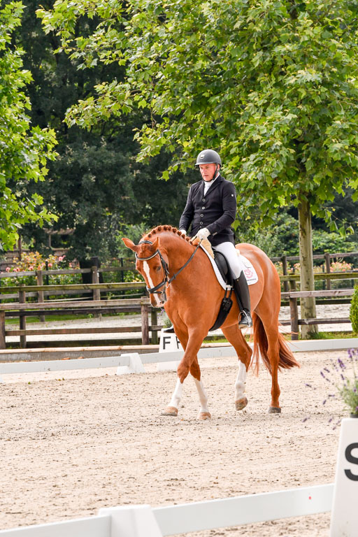 Klein Offenseth  - Dressur 1.8.2021 | 01082021 Dressurpferde A_63 