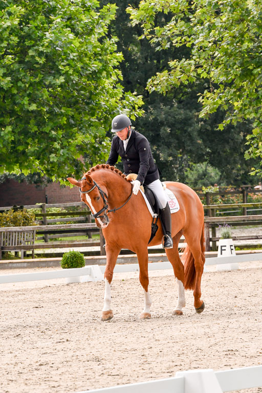 Klein Offenseth  - Dressur 1.8.2021 | 01082021 Dressurpferde A_64 