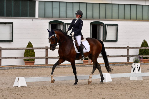 Klein Offenseth  - Dressur 1.8.2021 | 01082021 Dressurpferde A_66 