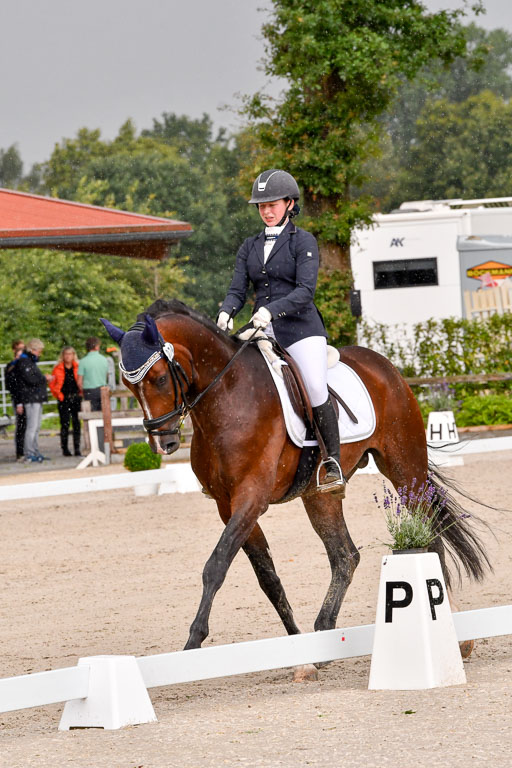 Klein Offenseth  - Dressur 1.8.2021 | 01082021 Dressurpferde A_69 
