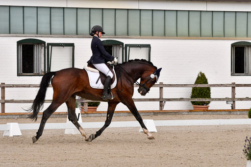 Klein Offenseth  - Dressur 1.8.2021 | 01082021 Dressurpferde A_71 