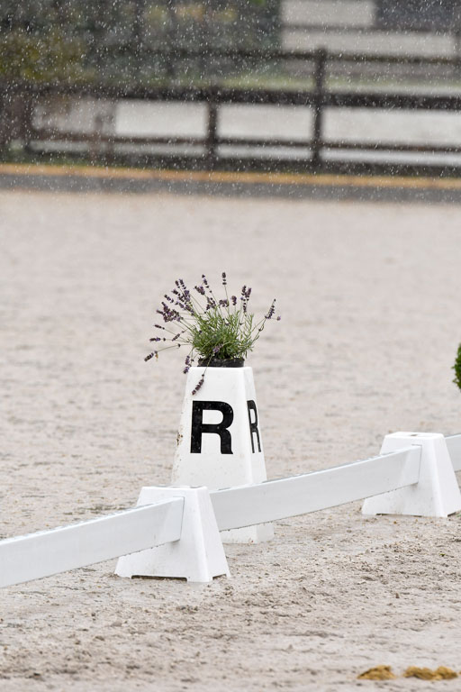 Klein Offenseth  - Dressur 1.8.2021 | 01082021 Dressurpferde A_73 