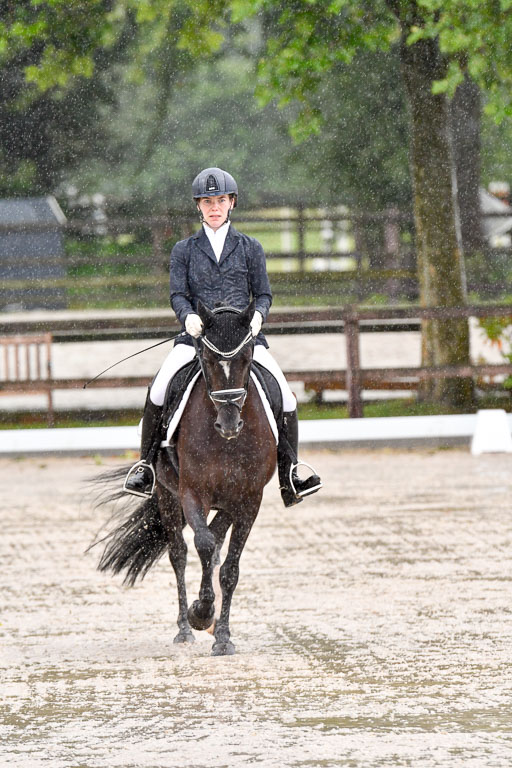 Klein Offenseth  - Dressur 1.8.2021 | 01082021 Dressurpferde A_76 