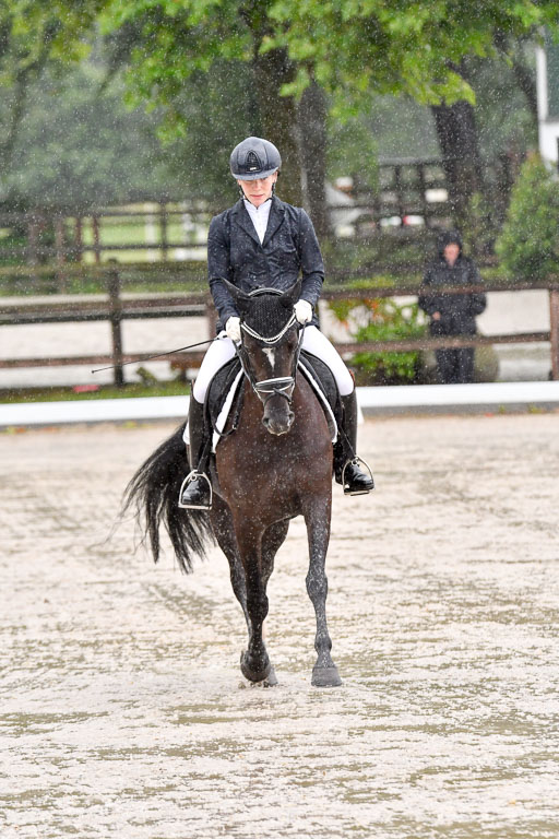 Klein Offenseth  - Dressur 1.8.2021 | 01082021 Dressurpferde A_77 