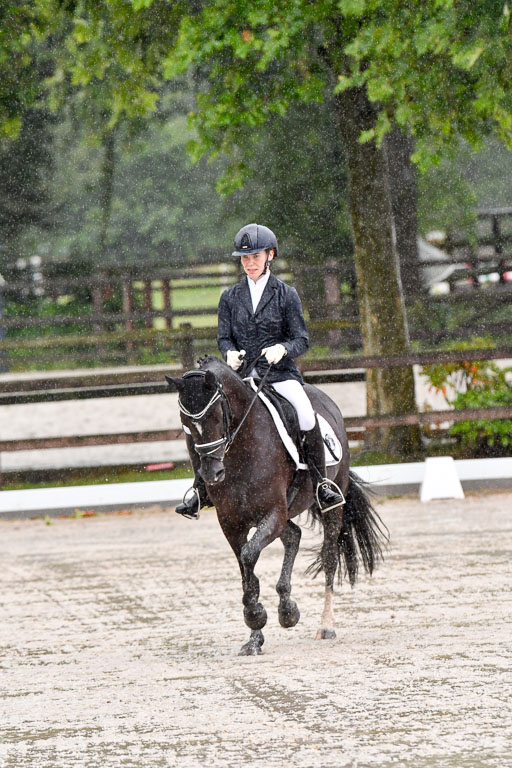 Klein Offenseth  - Dressur 1.8.2021 | 01082021 Dressurpferde A_80 