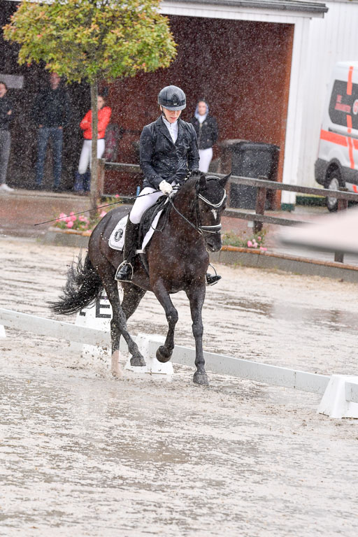 Klein Offenseth  - Dressur 1.8.2021 | 01082021 Dressurpferde A_83 