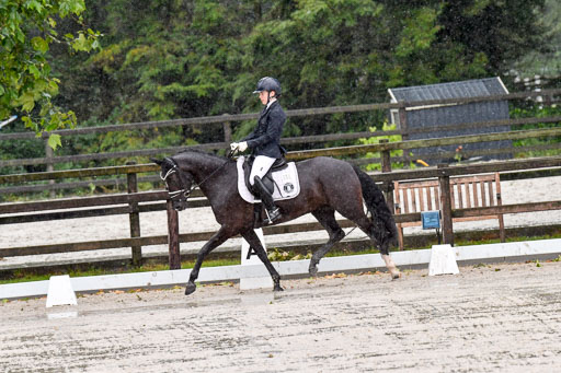 Klein Offenseth  - Dressur 1.8.2021 | 01082021 Dressurpferde A_84 