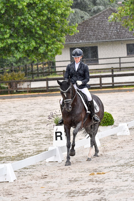 Klein Offenseth  - Dressur 1.8.2021 | 01082021 Dressurpferde A_86 