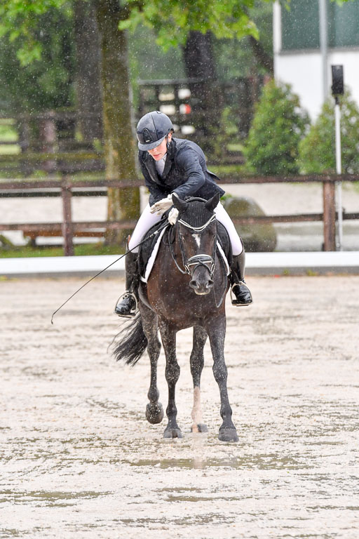 Klein Offenseth  - Dressur 1.8.2021 | 01082021 Dressurpferde A_90 