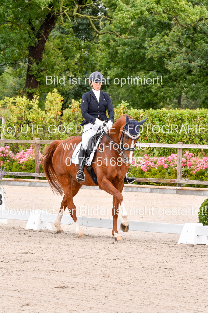 Klkein Offenseth 1.8.2021 | 01082021 Dressur M 2+ +_004 