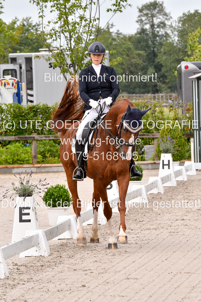 Klkein Offenseth 1.8.2021 | 01082021 Dressur M 2+ +_005 