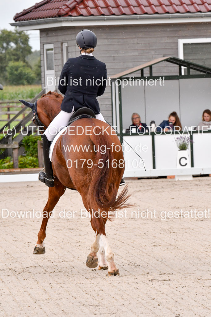 Klkein Offenseth 1.8.2021 | 01082021 Dressur M 2+ +_006 