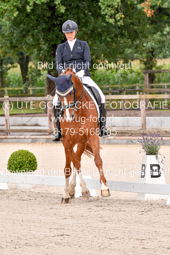 Klkein Offenseth 1.8.2021 | 01082021 Dressur M 2+ +_010 