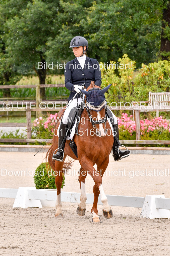 Klkein Offenseth 1.8.2021 | 01082021 Dressur M 2+ +_012 