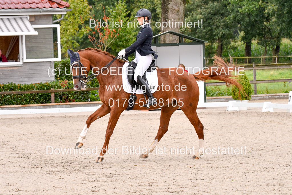 Klkein Offenseth 1.8.2021 | 01082021 Dressur M 2+ +_014 