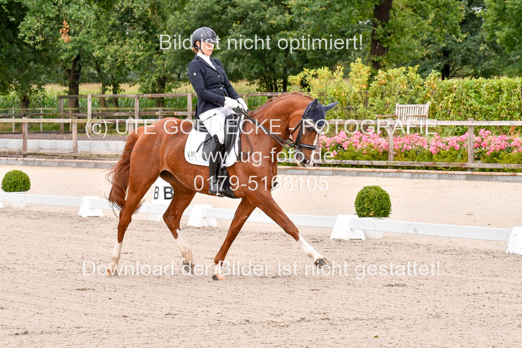 Klkein Offenseth 1.8.2021 | 01082021 Dressur M 2+ +_017 