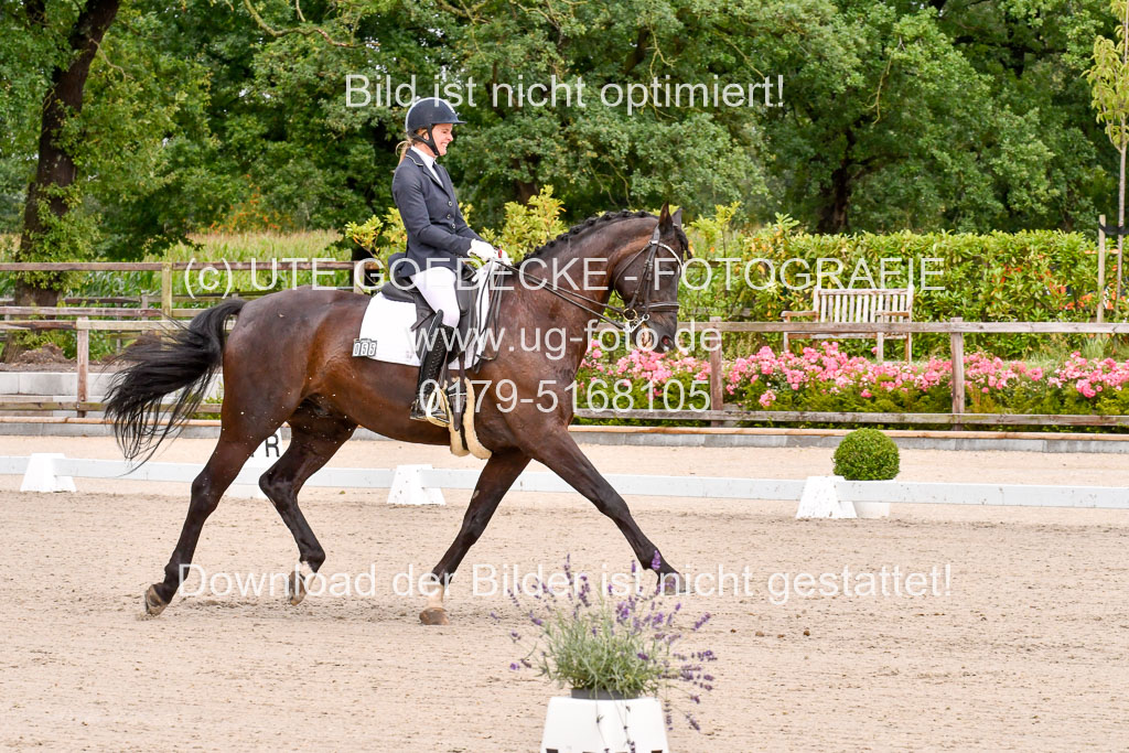 Klkein Offenseth 1.8.2021 | 01082021 Dressur M 2+ +_035 