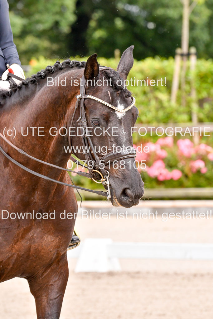 Klkein Offenseth 1.8.2021 | 01082021 Dressur M 2+ +_039 