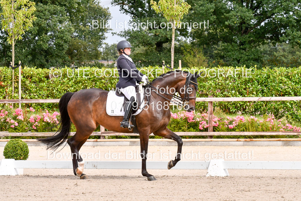 Klkein Offenseth 1.8.2021 | 01082021 Dressur M 2+ +_041 