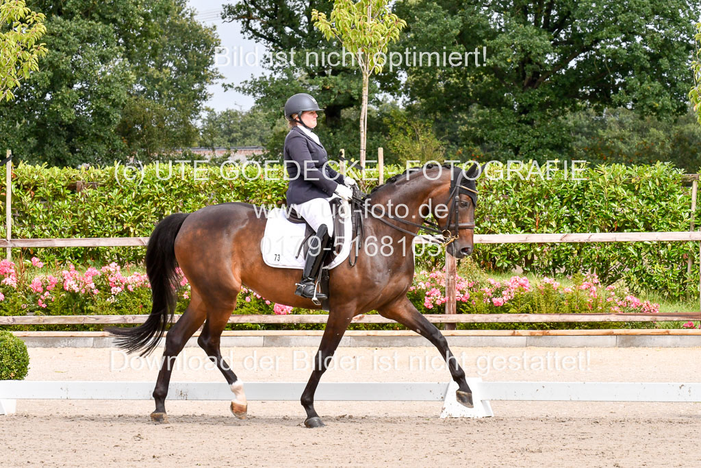 Klkein Offenseth 1.8.2021 | 01082021 Dressur M 2+ +_042 