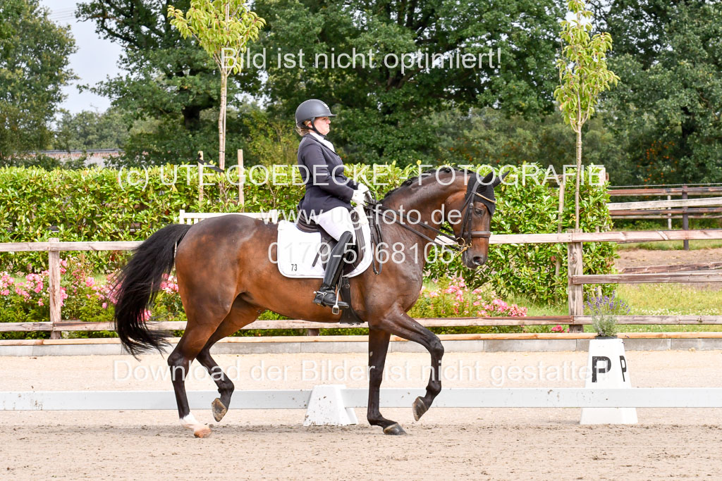 Klkein Offenseth 1.8.2021 | 01082021 Dressur M 2+ +_043 